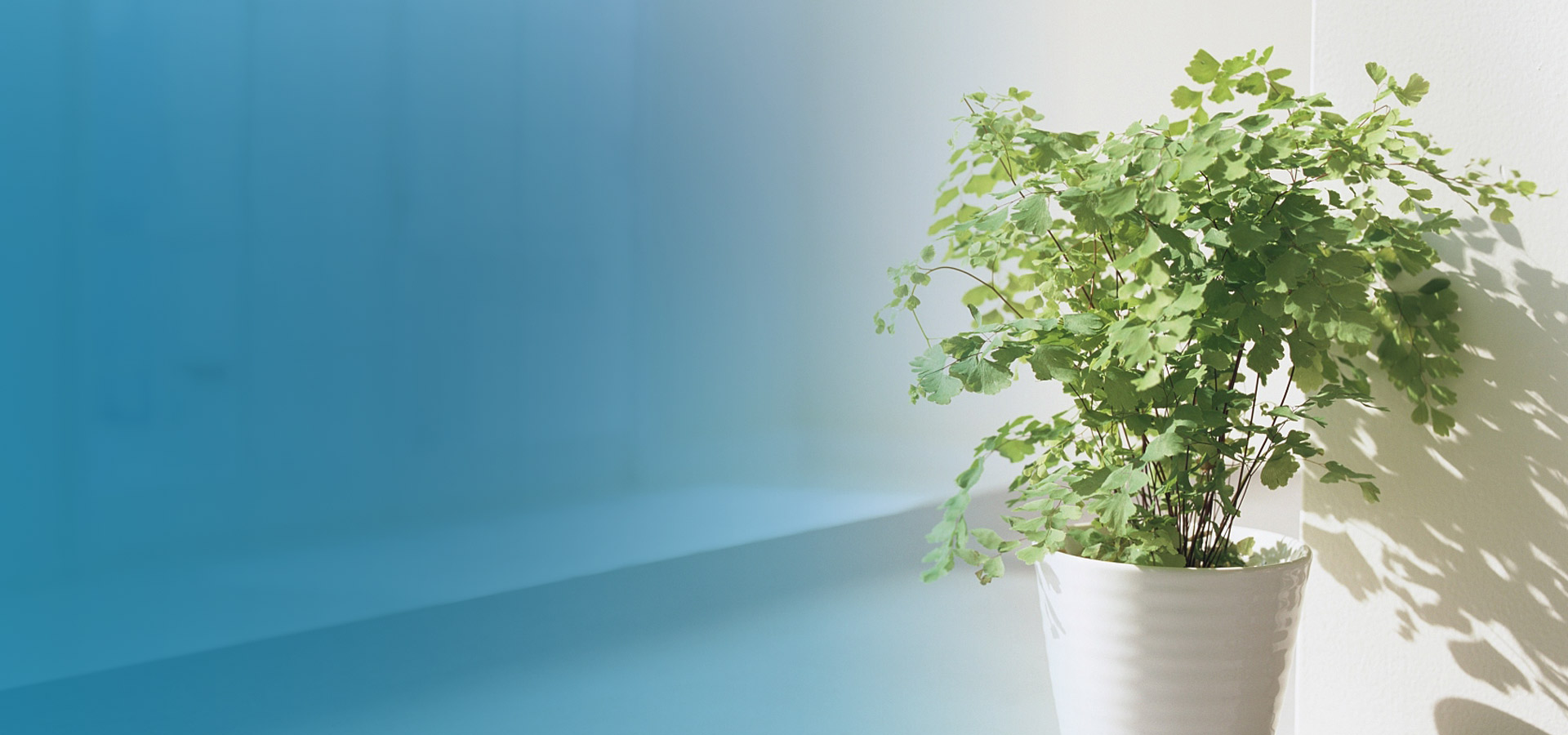 即嗨体育官方下载