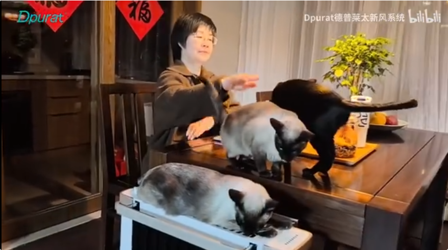 即嗨体育官方下载